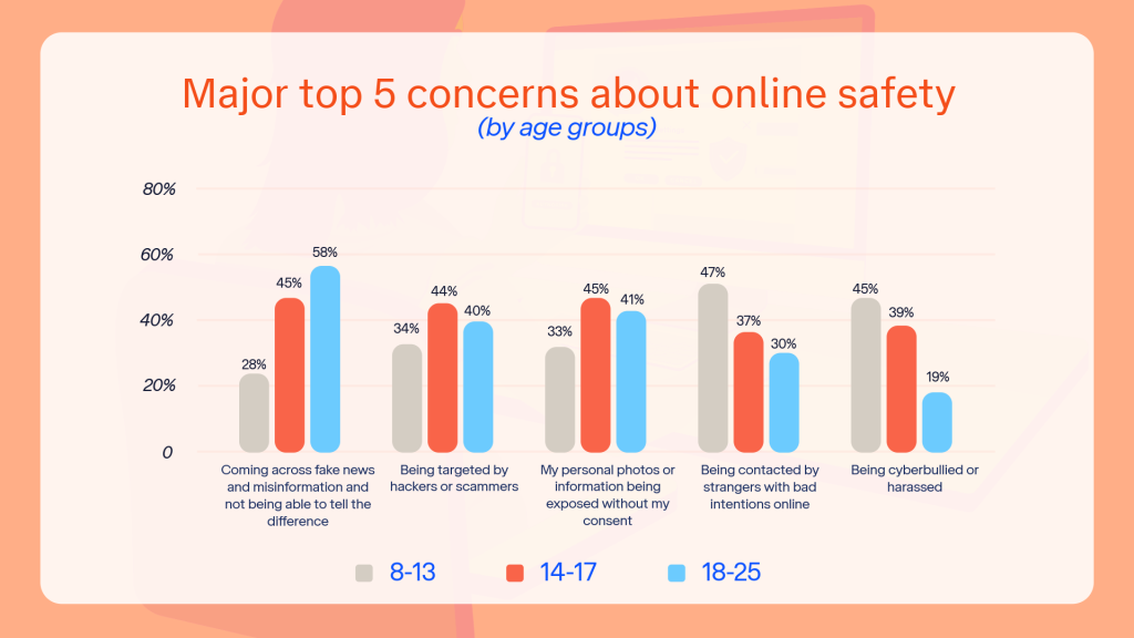 Bar chart displaying the top five concerns about online safety